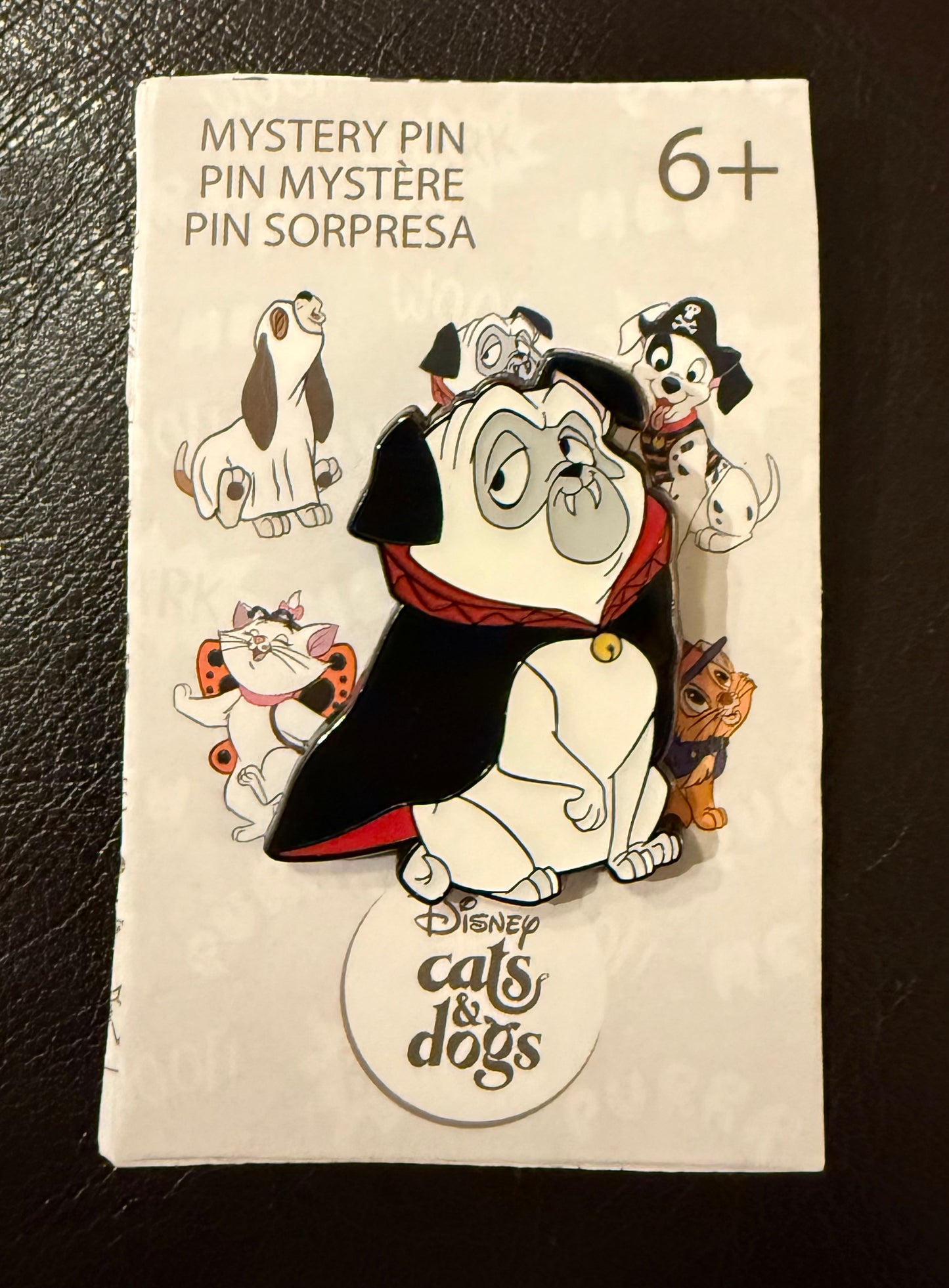 Percy as Vampire Dogs and Cats Halloween