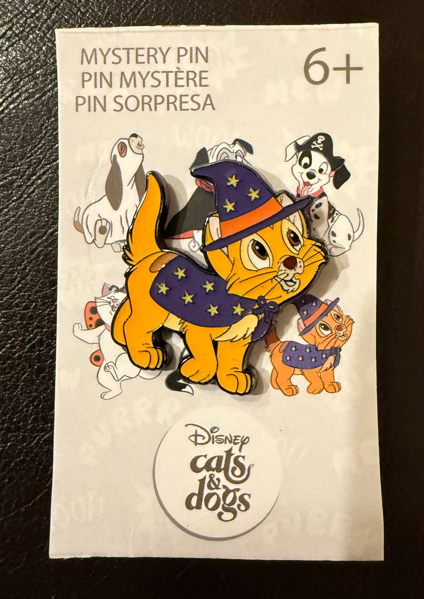 Oliver as a Witch Dogs and Cats Halloween