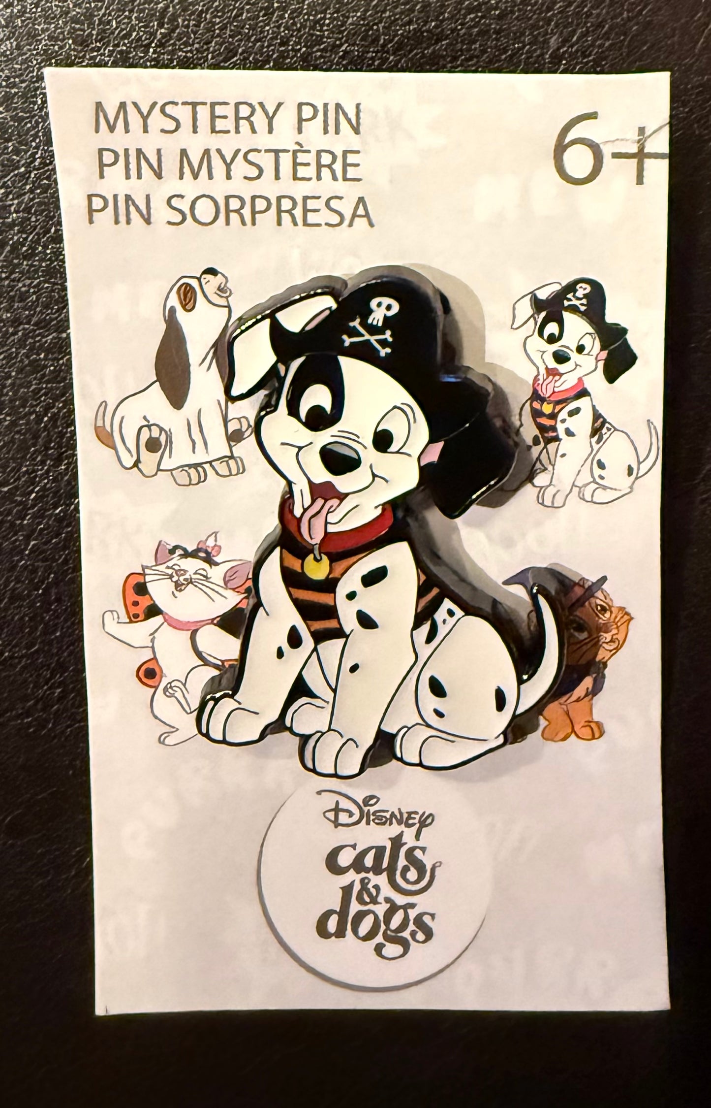 Patch as a Pirate Dogs and Cats Halloween Mystery B5