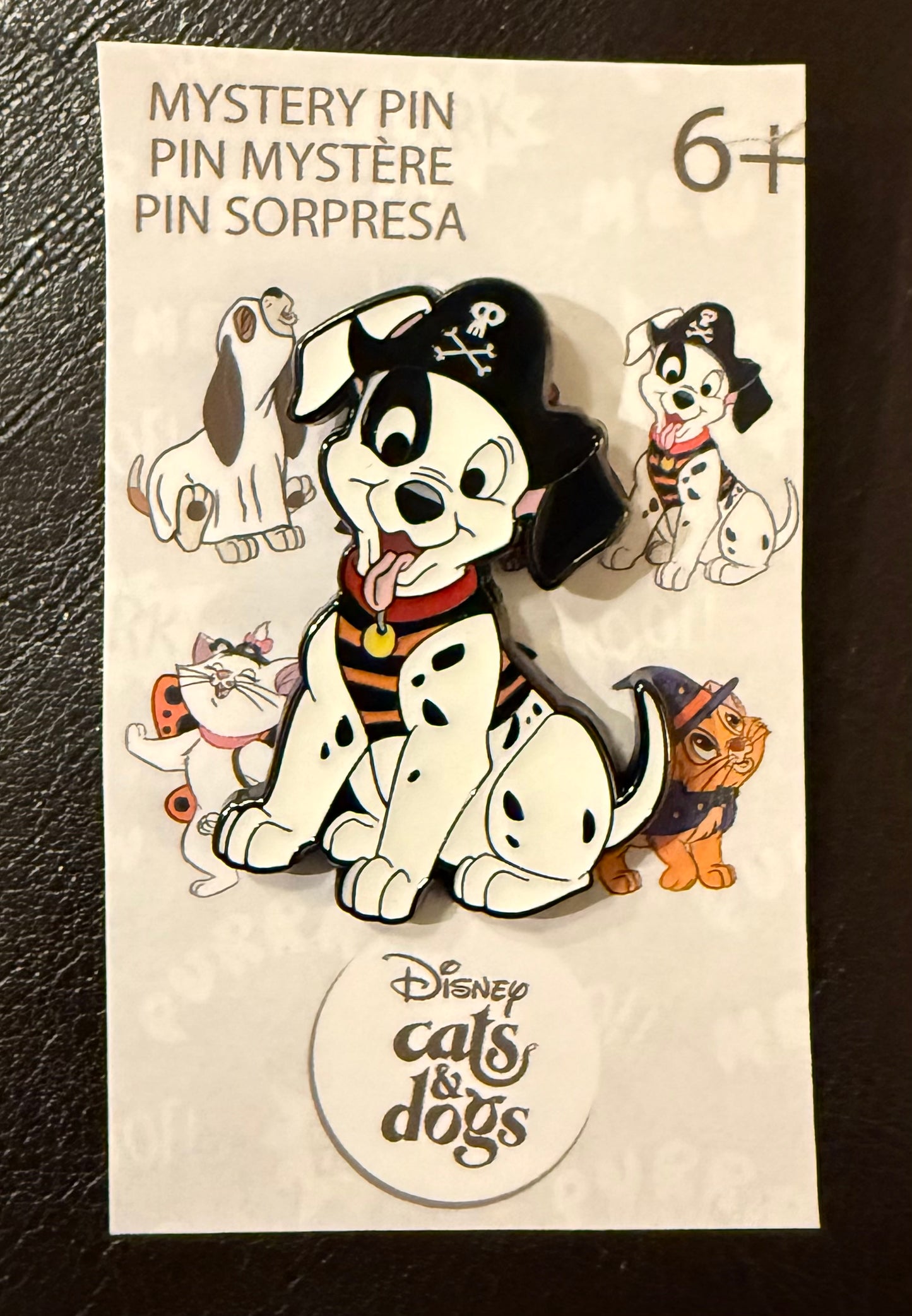 Patch as a Pirate Dogs and Cats Halloween