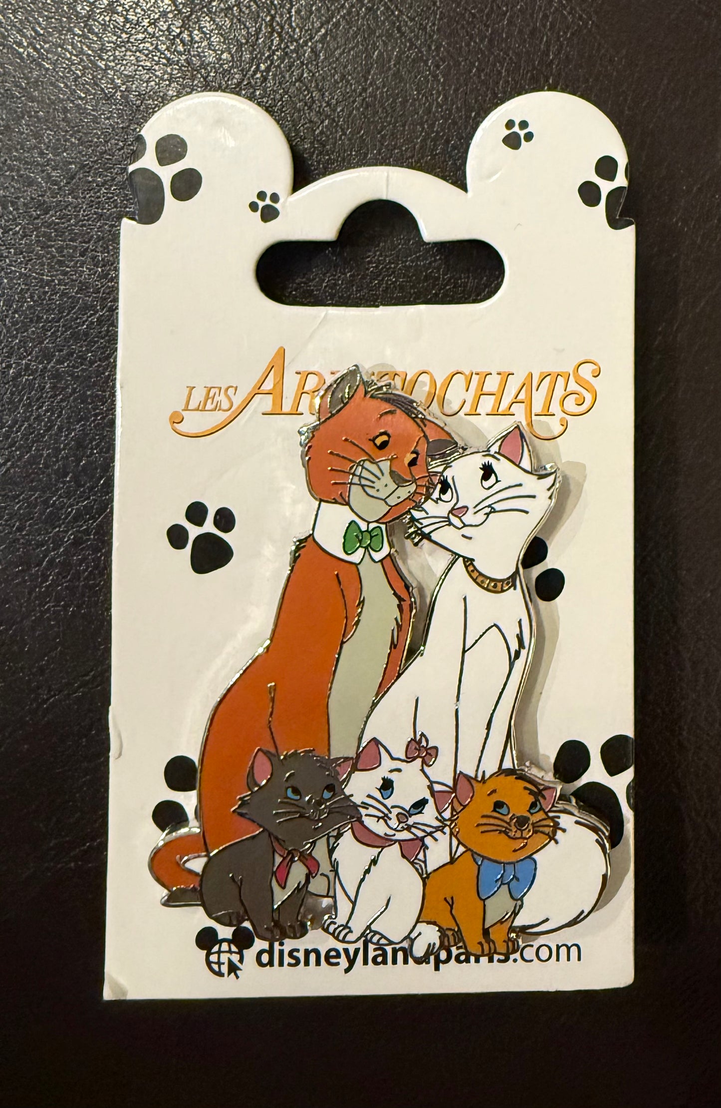 Aristocats Family Posing for Picture B4