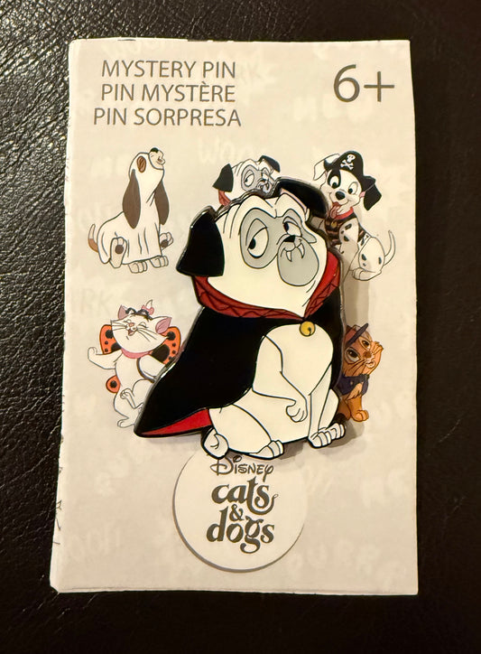 Percy as Vampire Dogs and Cats Halloween