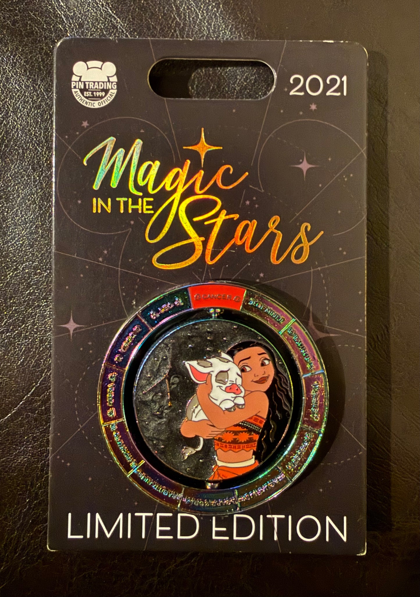 Moana and Pua Magic in the Stars Spinner B8
