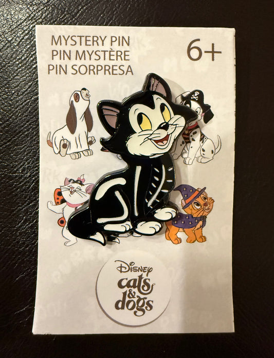 Figaro as a Skeleton Dogs and Cats Halloween